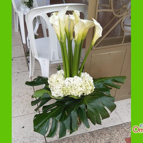 floristeria omega_funebre 17