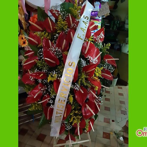 floristeria omega_funebre 5