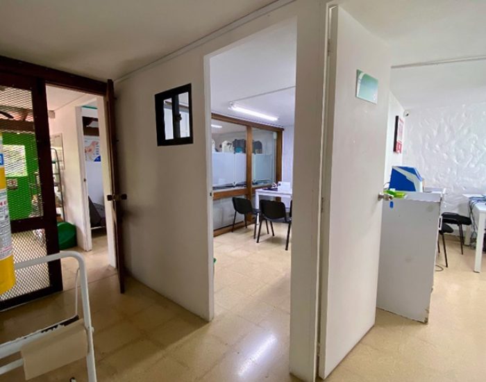 Eurovet Clinica Veterinaria