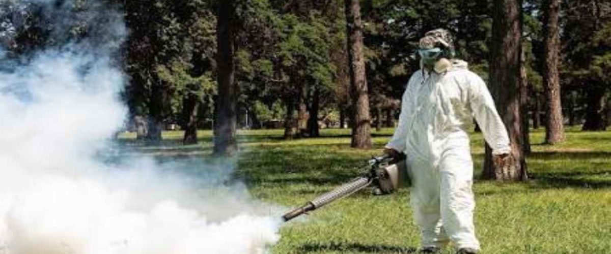 fumigaciones seccion
