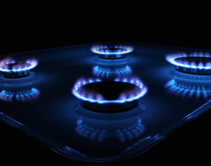 GAS NATURAL FUSAGAS
