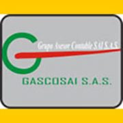 gastosai_baner