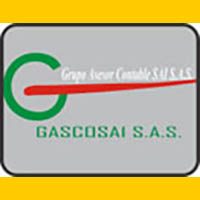 gastosai_baner