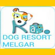 guarderiakadog