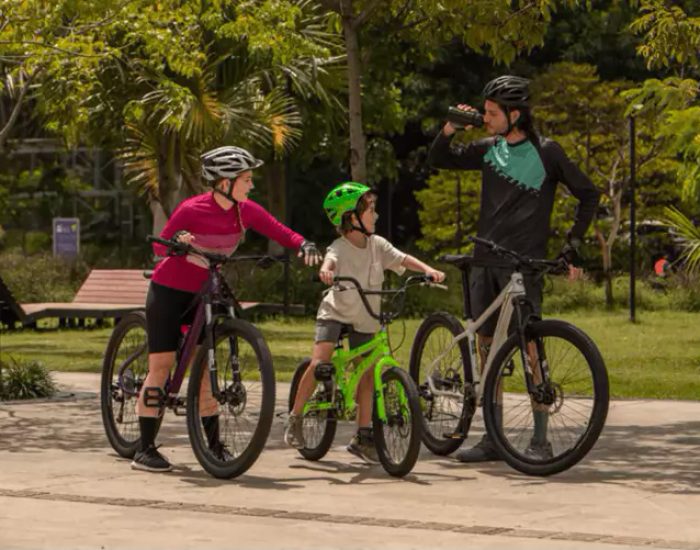CICLO CHARLESS