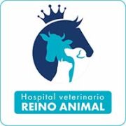 hospital veterinario reino animal_banner