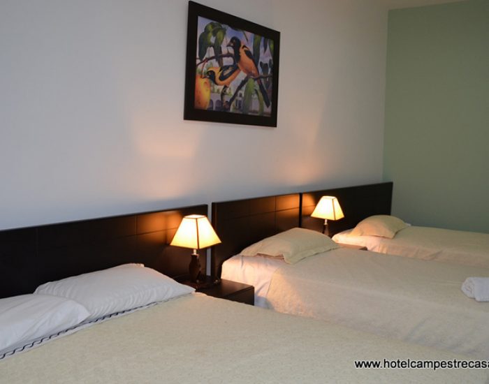 HOTEL CAMPESTRE CASA VERDE