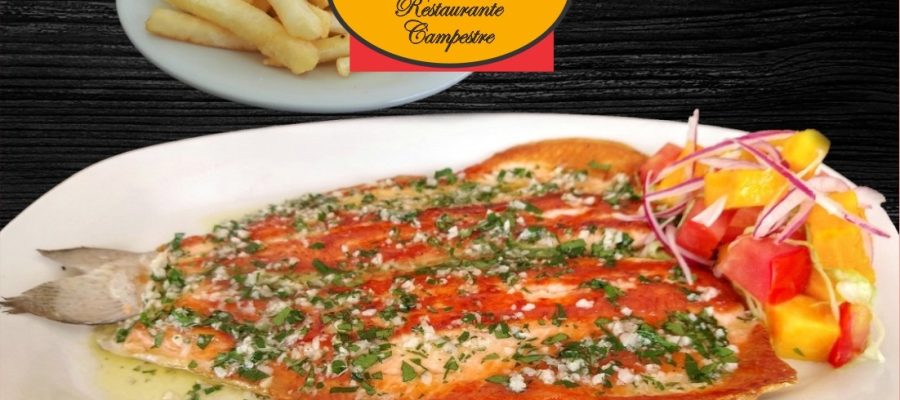 la dora restaurante trucha al ajillo