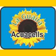 laguairabanner