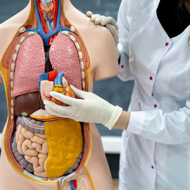 medicina-interna-grande