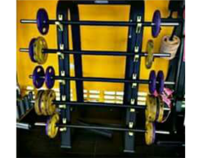 Muscle Fitness gym