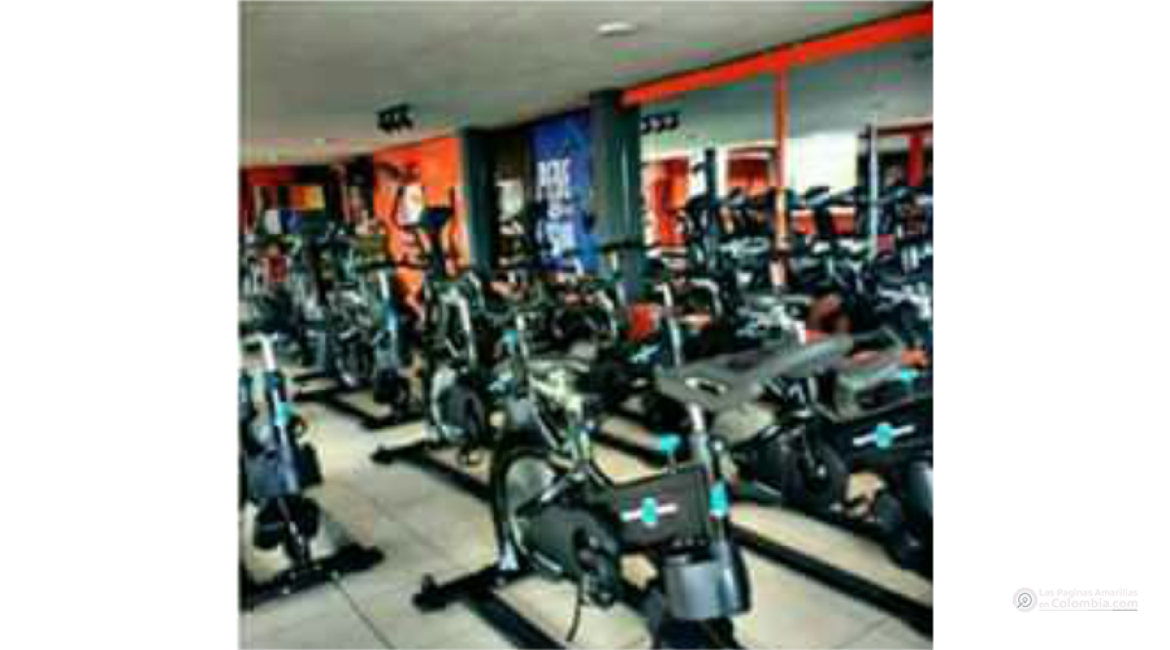 Muscle Fitness gym