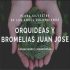 ORQUIDEAS Y BROMELIAS Juan José