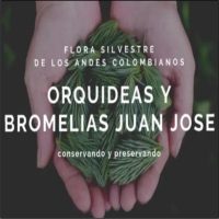 ORQUIDEAS Y BROMELIAS Juan José