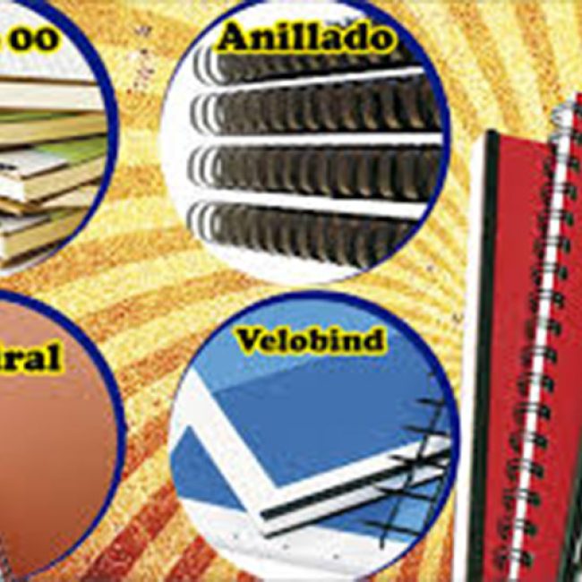 PAPELERIA DEL AMAZONAS