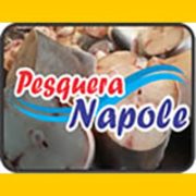 pesqueranapoli_banner