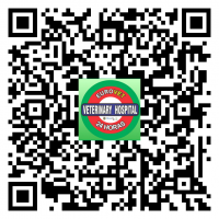 Eurovet Clinica Veterinaria