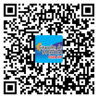 GIRASOLES DE MARTICA POSADA SHAY