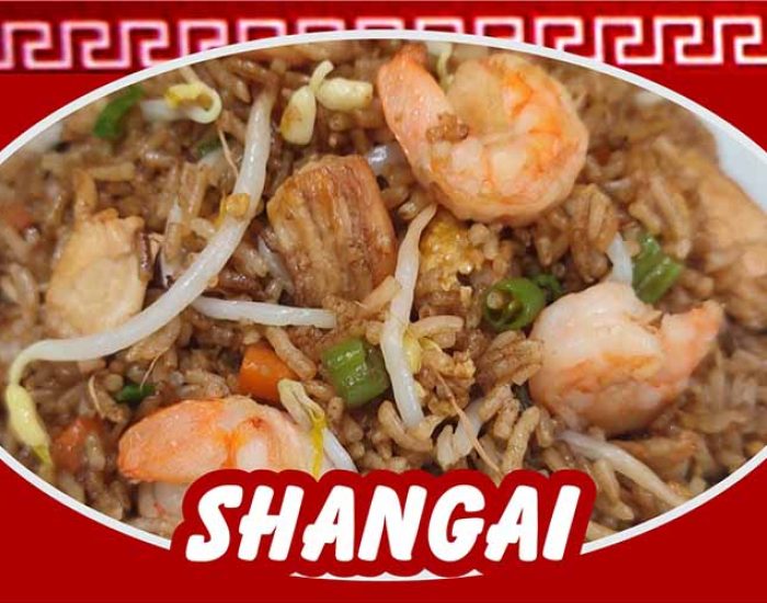 RESTAURANTE CHINO SHANGAI IV