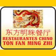 restaurantechinotonfan_banner