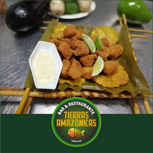 BAR Y RESTAURANTE TIERRAS AMAZONICAS