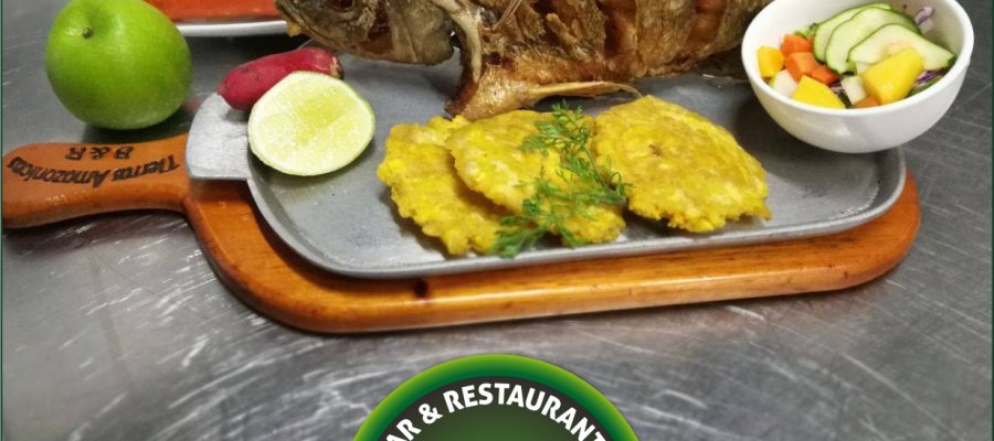 BAR Y RESTAURANTE TIERRAS AMAZONICAS