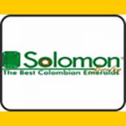 salomon_baner