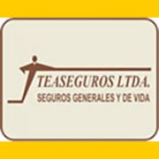 teaseguros_baner
