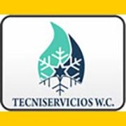tecniserviciosw.c_banner