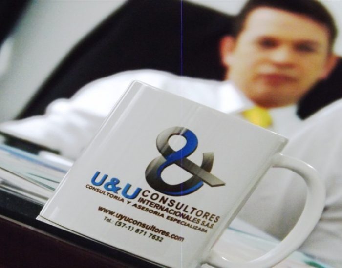 U & U INTERNATIONAL CONSULTING SA