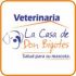 veterinaria señor bigotes_banner
